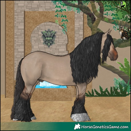 Horse Color:Brown Dun 