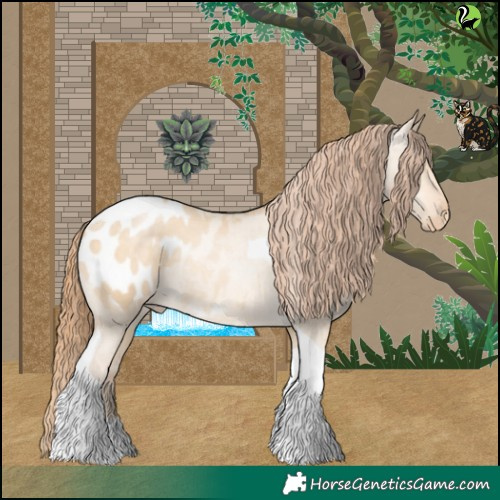 Horse Color:Buckskin Pearl Dun Tobiano Appaloosa 