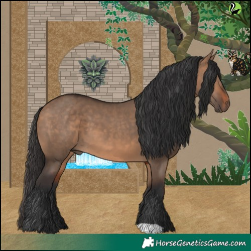 Horse Color:Bay Dun 