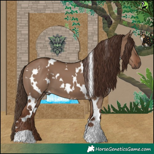 Horse Color:White Spotted Liver Red Dun 