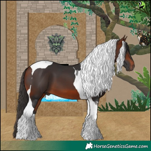 Horse Color:Bay Tobiano 