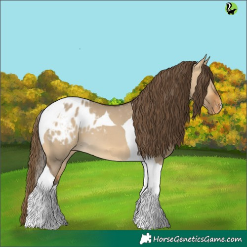 Horse Color:Buckskin Dun Tobiano Appaloosa 