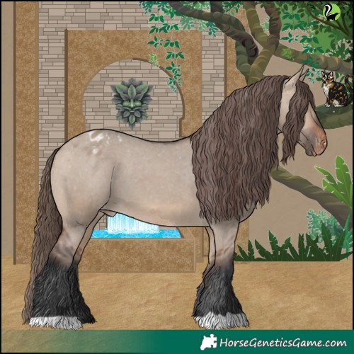 Horse Color:Bay Dun Appaloosa 