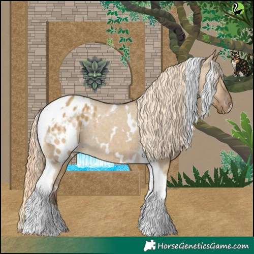 Horse Color:White Spotted Chocolate Palomino Dun Tobiano Appaloosa 