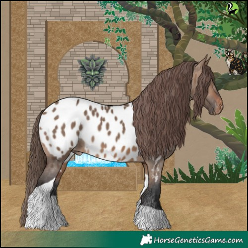 Horse Color:Brown Dun Tobiano Appaloosa 