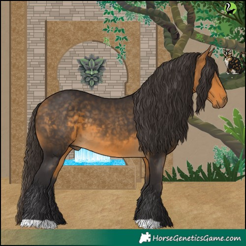 Horse Color:Buckskin 