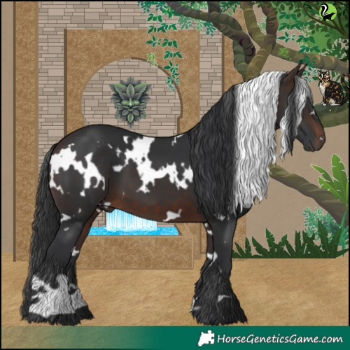 Horse Color:White Spotted Brown 
