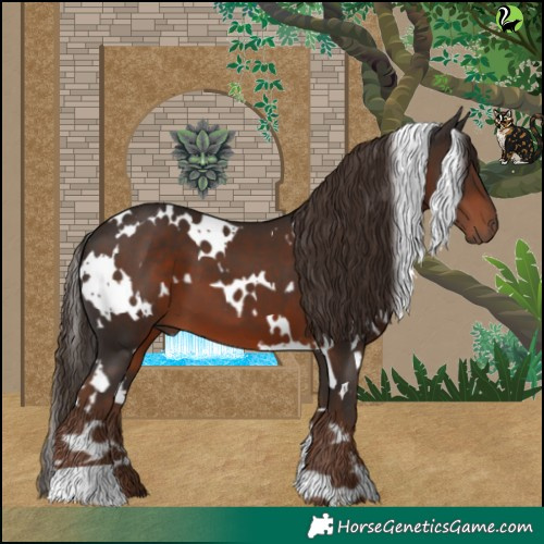 Horse Color:White Spotted Liver Chestnut 