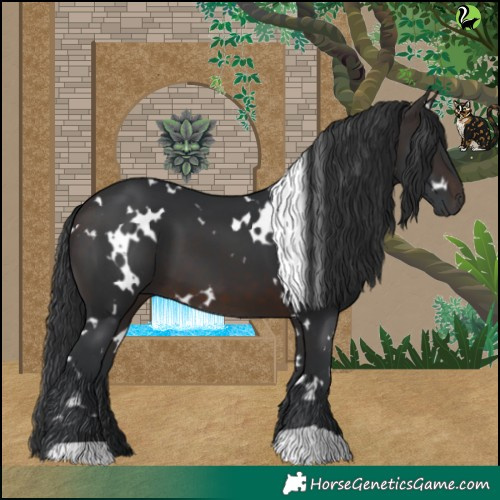 Horse Color:White Spotted Brown 