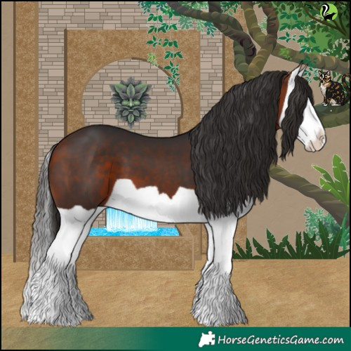 Horse Color:Bay Splash 