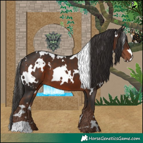 Horse Color:White Spotted Liver Chestnut 