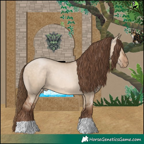 Horse Color:Brown Pearl Dun 