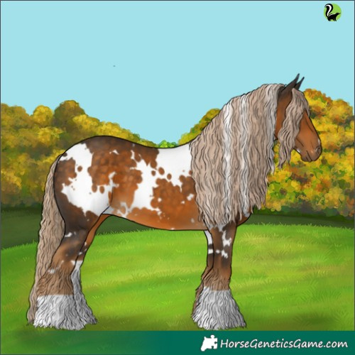 Horse Color:White Spotted Chocolate Palomino