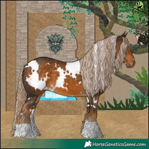 Horse Color:White Spotted Chocolate Palomino 