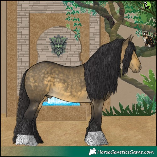 Horse Color:Buckskin Dun 