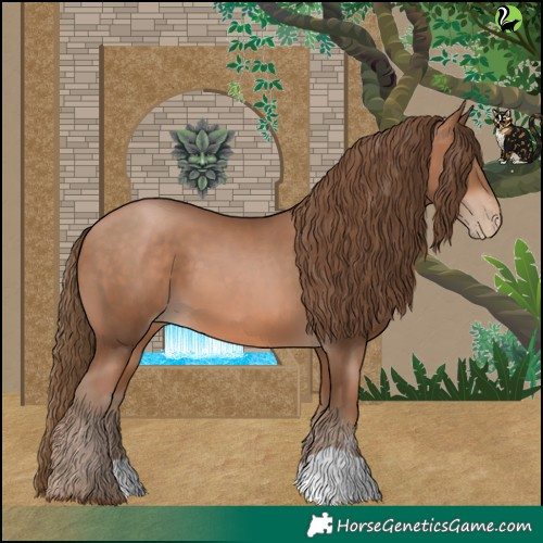 Horse Color:Bay Pearl 
