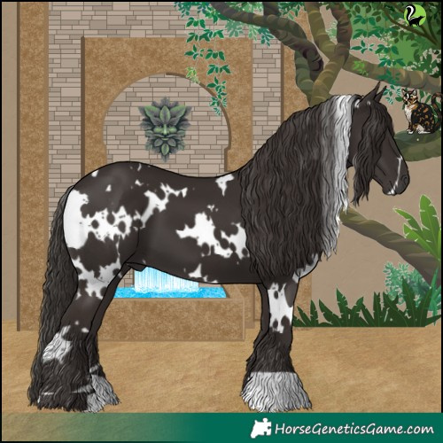 Horse Color:White Spotted Liver Chestnut 