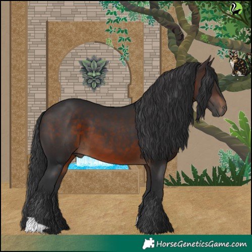 Horse Color:Brown 