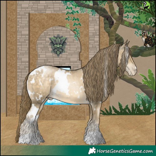 Horse Color:White Spotted Buckskin Pearl 