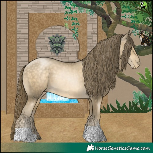 Horse Color:Buckskin Pearl 