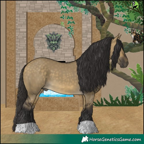 Horse Color:Buckskin Dun 