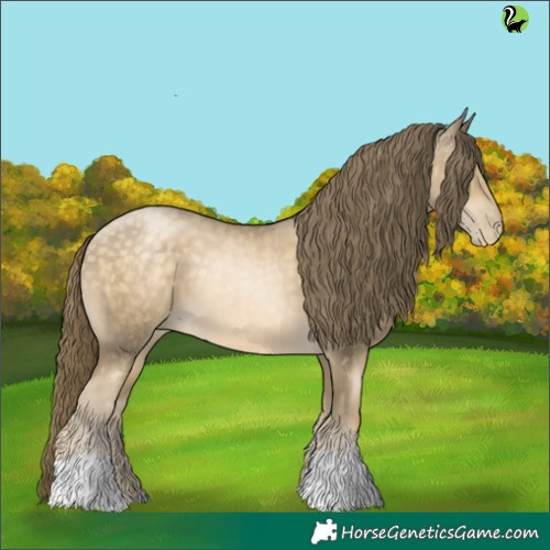 Horse Color:Buckskin Pearl