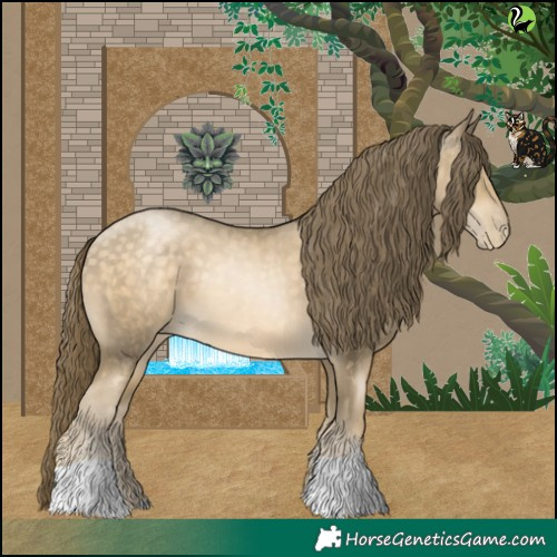 Horse Color:Buckskin Pearl 