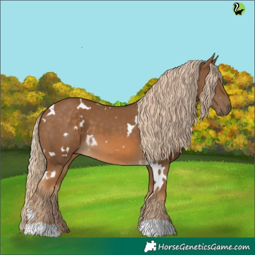 Horse Color:White Spotted Chocolate Palomino 