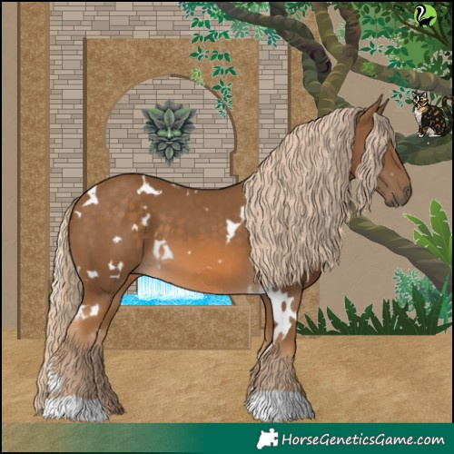 Horse Color:White Spotted Chocolate Palomino 