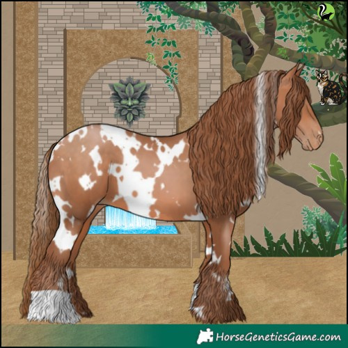 Horse Color:White Spotted Bay Pearl 