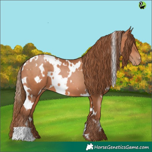 Horse Color:White Spotted Bay Pearl 