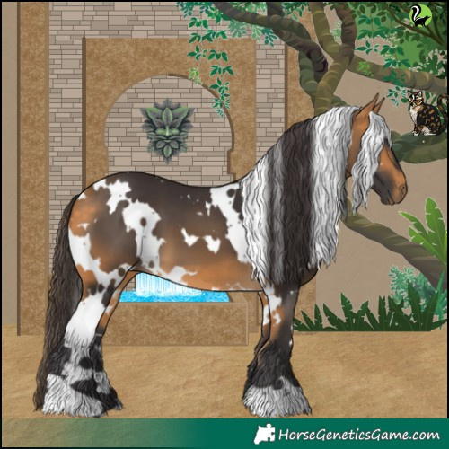 Horse Color:White Spotted Buckskin 
