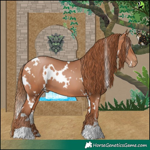 Horse Color:White Spotted Bay Pearl 