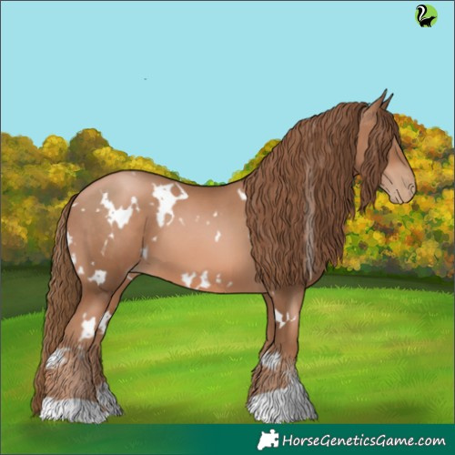 Horse Color:White Spotted Liver Chestnut Pearl 