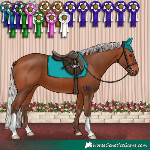 Horse Color:Silver Bay 