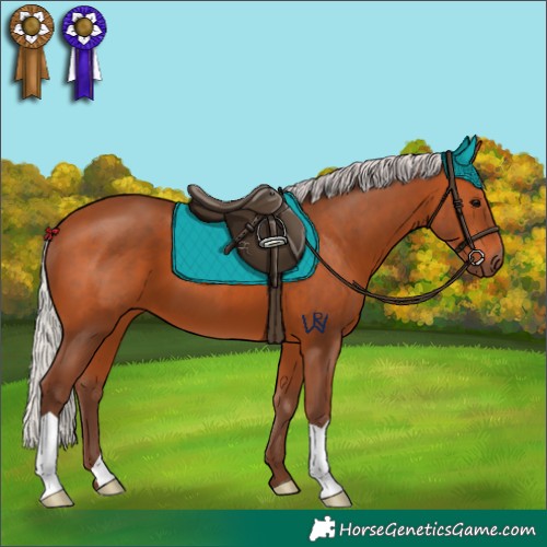 Horse Color:Silver Bay 