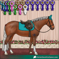 Horse Color:Silver Bay 
