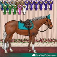 Horse Color:Silver Bay 