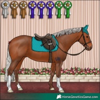Horse Color:Silver Bay 