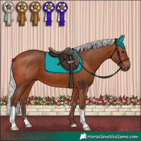 Horse Color:Silver Bay 