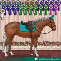 Horse Color:Silver Bay