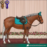 Horse Color:Silver Bay 