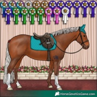 Horse Color:Silver Bay
