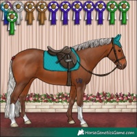 Horse Color:Silver Bay 