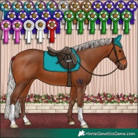 Horse Color:Silver Bay