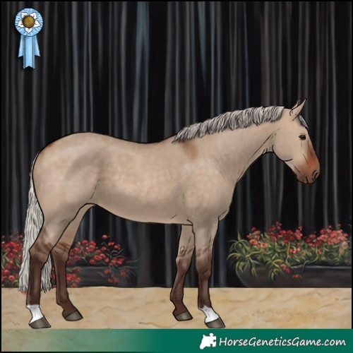 Horse Color:Silver Bay Dun 