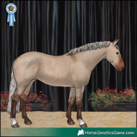 Horse Color:Silver Bay Dun