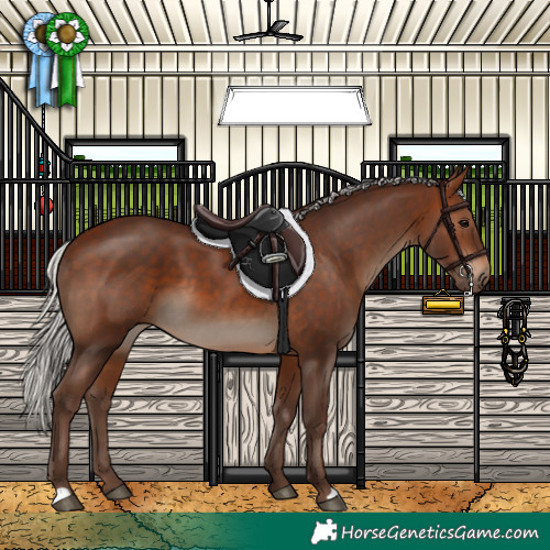 Horse Color:Silver Bay 