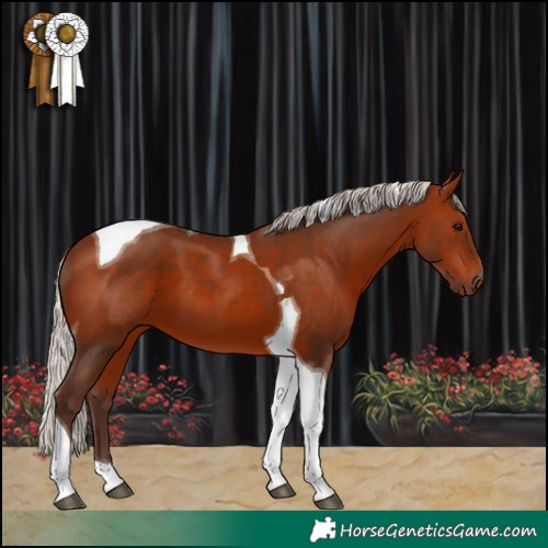 Horse Color:Silver Bay Tobiano 