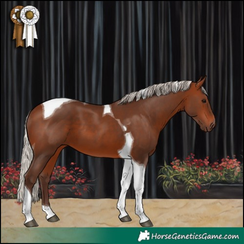 Horse Color:Silver Bay Tobiano
